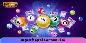 Nhận biết cặp số gan trong xổ số